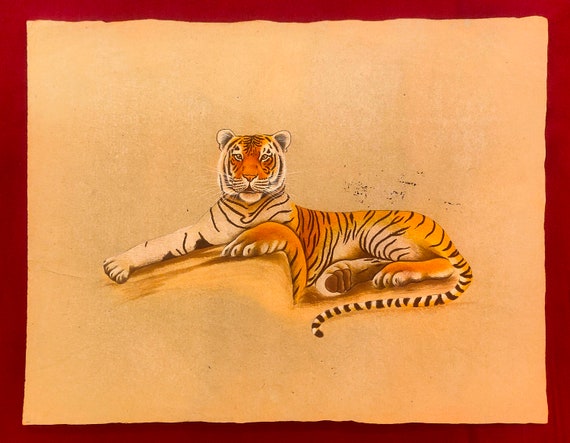 Tiger Sketch by BraveCuddlyWolf on DeviantArt
