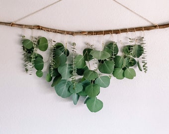 Eucalyptus Hanging Etsy