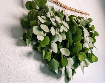 Eucalyptus Hanging Etsy