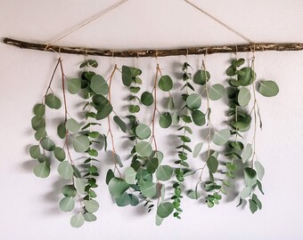 Eucalyptus Hanging Etsy