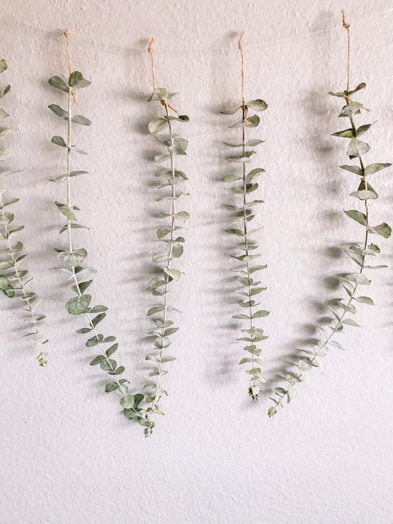 Eucalyptus Wall Hanging Eucalyptus Eucalyptus Hanging Boho Etsy