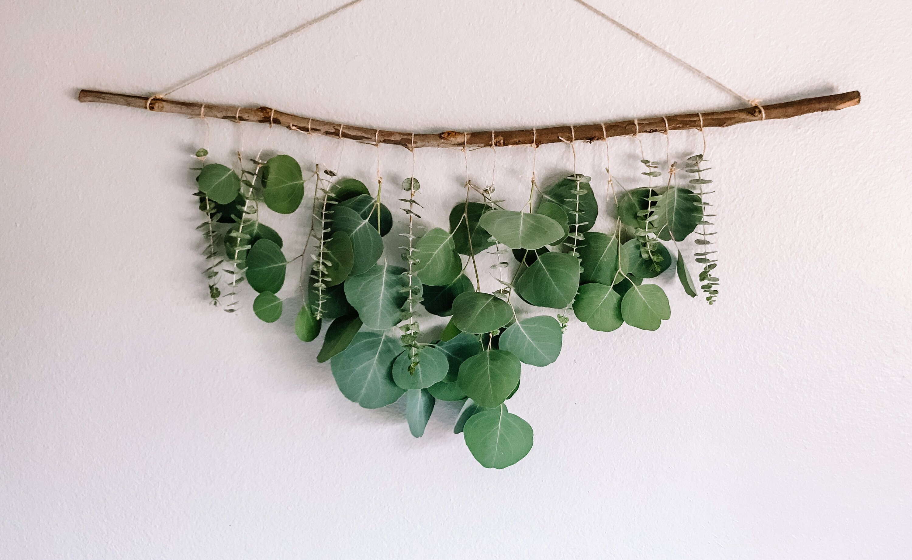 Eucalyptus Wall Hanging, Eucalyptus, Eucalyptus Hanging, Boho Wall Ha…