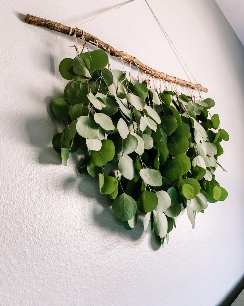 Eucalyptus Wall Hanging Eucalyptus Eucalyptus Hanging Boho Etsy