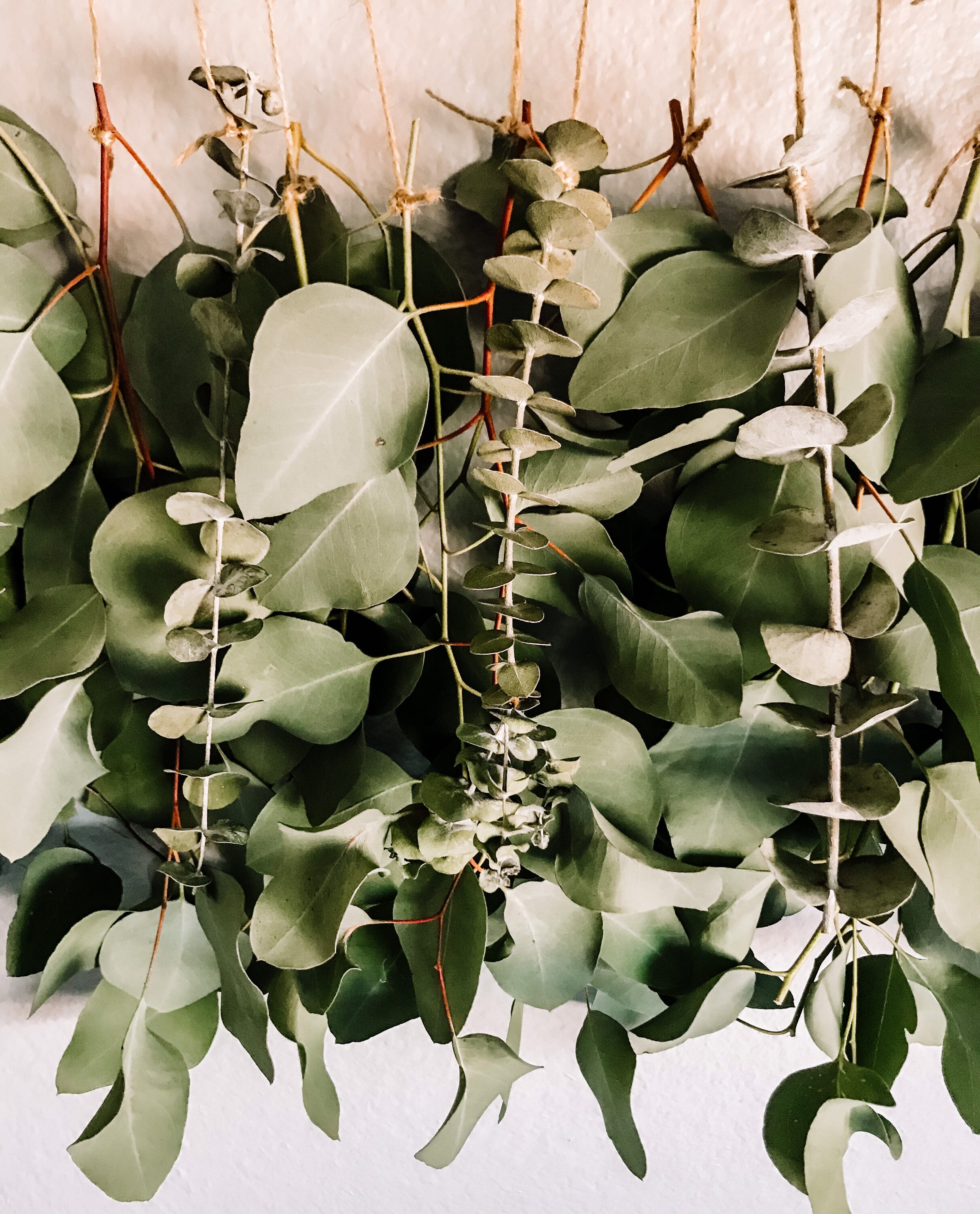 Eucalyptus Wall Hanging Eucalyptus Eucalyptus Hanging Boho Etsy.de