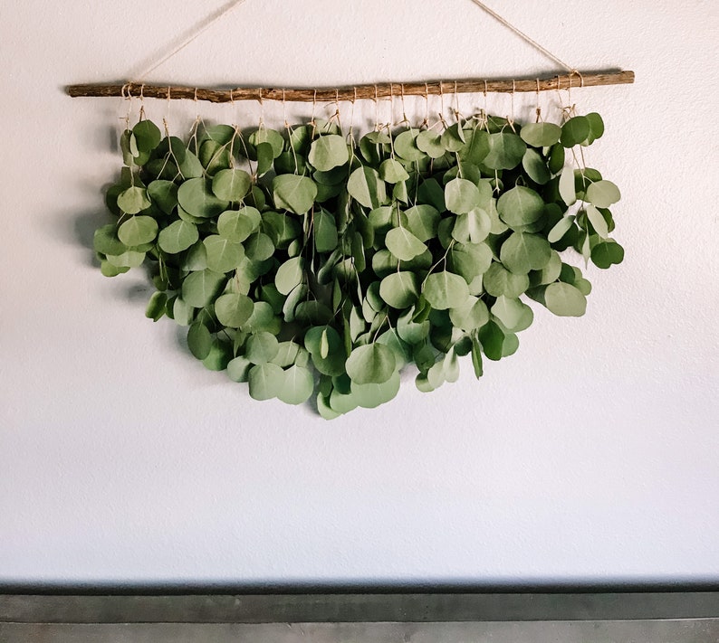 Eucalyptus Wall Hanging Eucalyptus Eucalyptus Hanging Boho Etsy