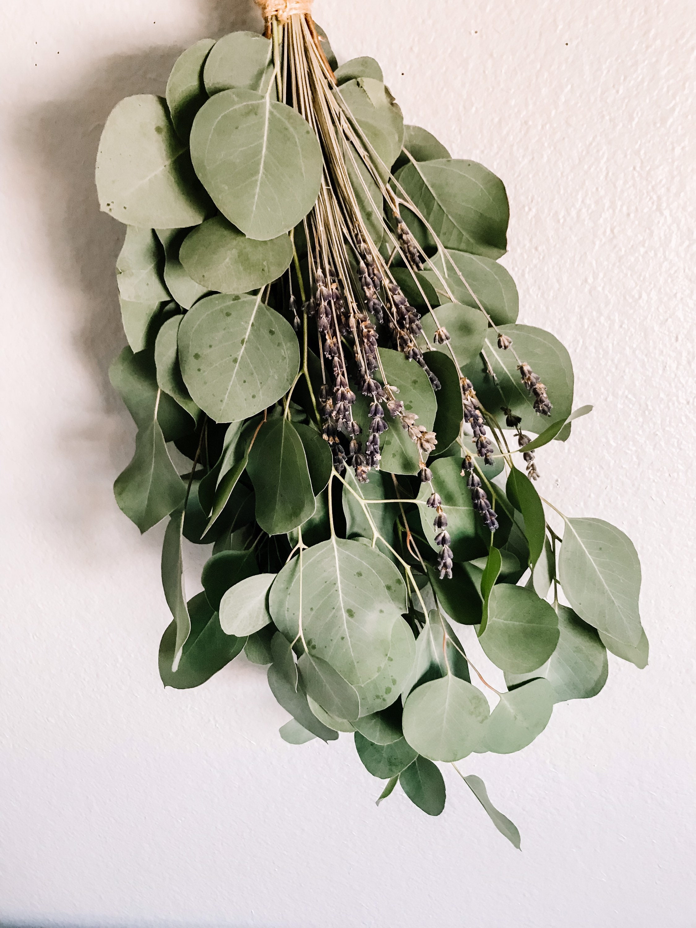 Eucalyptus Wall Hanging Eucalyptus Eucalyptus Hanging Boho Etsy