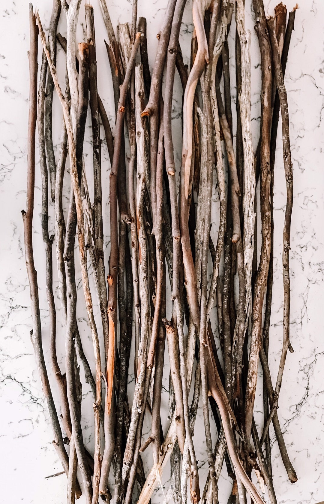 Eucalyptus Wood Branches, Branches, Eucalyptus Branches, Eucalyptus