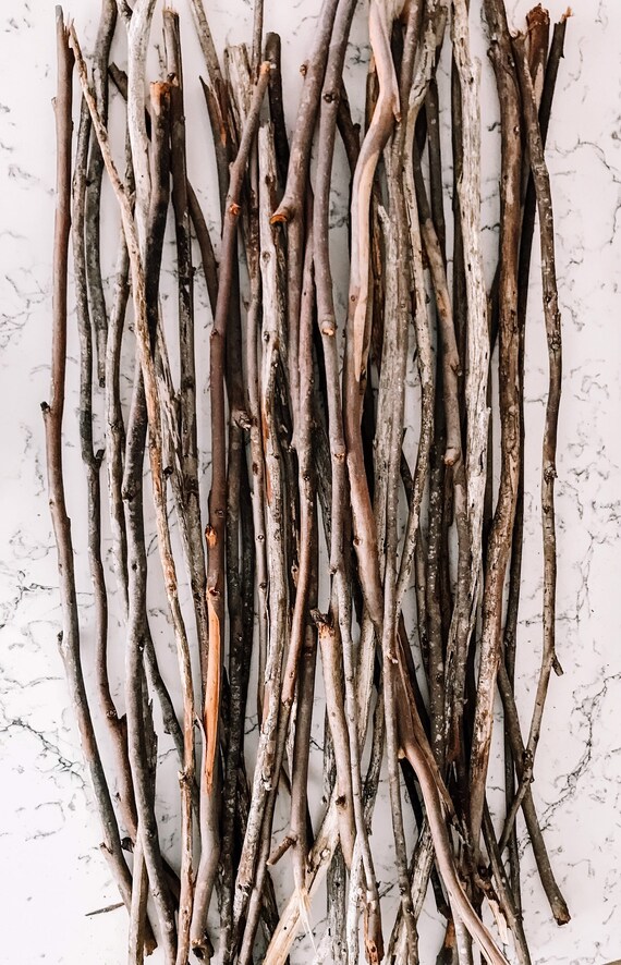 Eucalyptus Wood Branches Branches Eucalyptus Branches Etsy