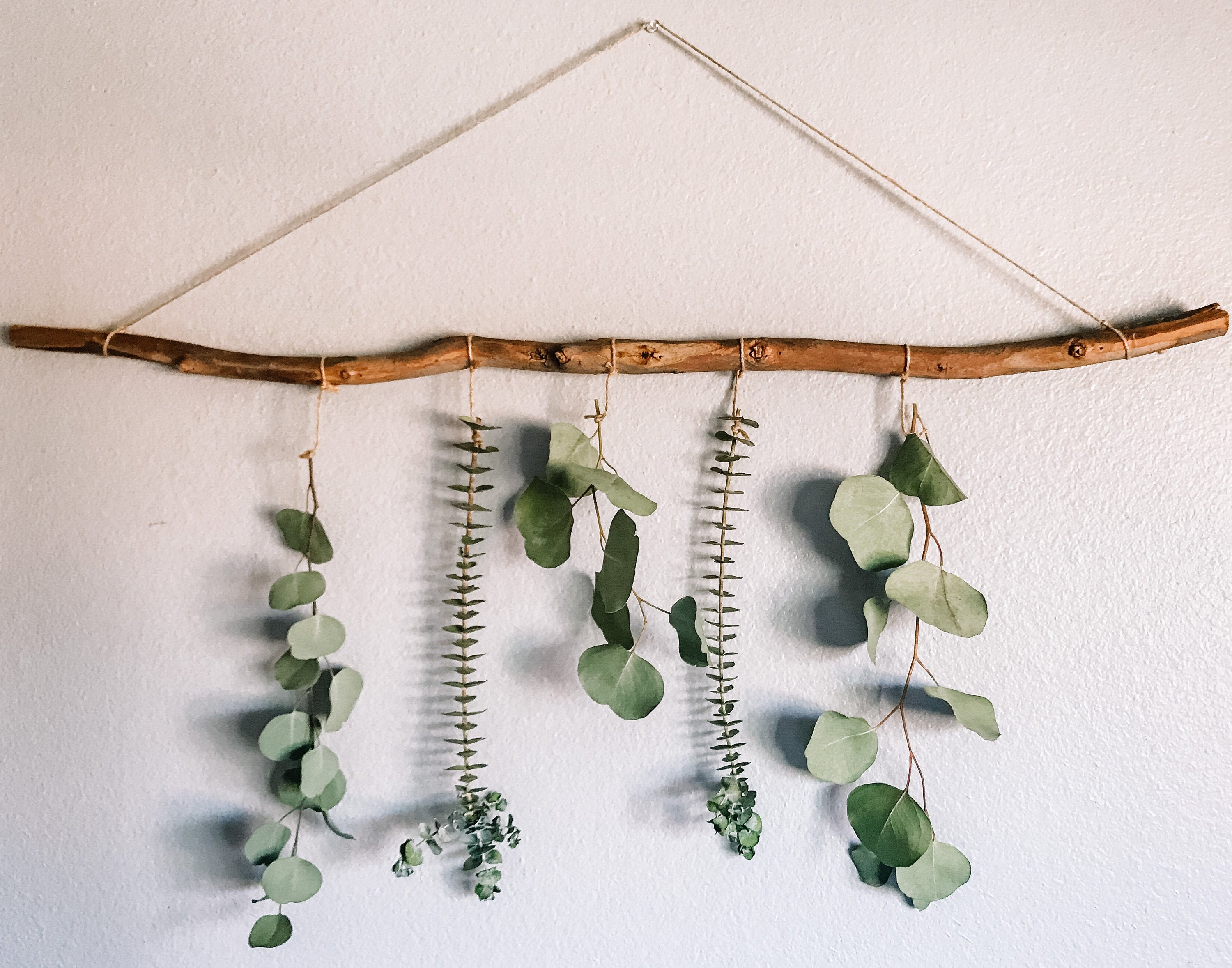 Eucalyptus Wall Hanging Eucalyptus Eucalyptus Hanging Boho Etsy