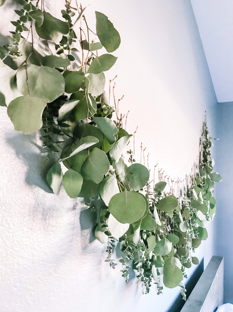 Eucalyptus Wall Hanging Eucalyptus Eucalyptus Hanging Boho Etsy