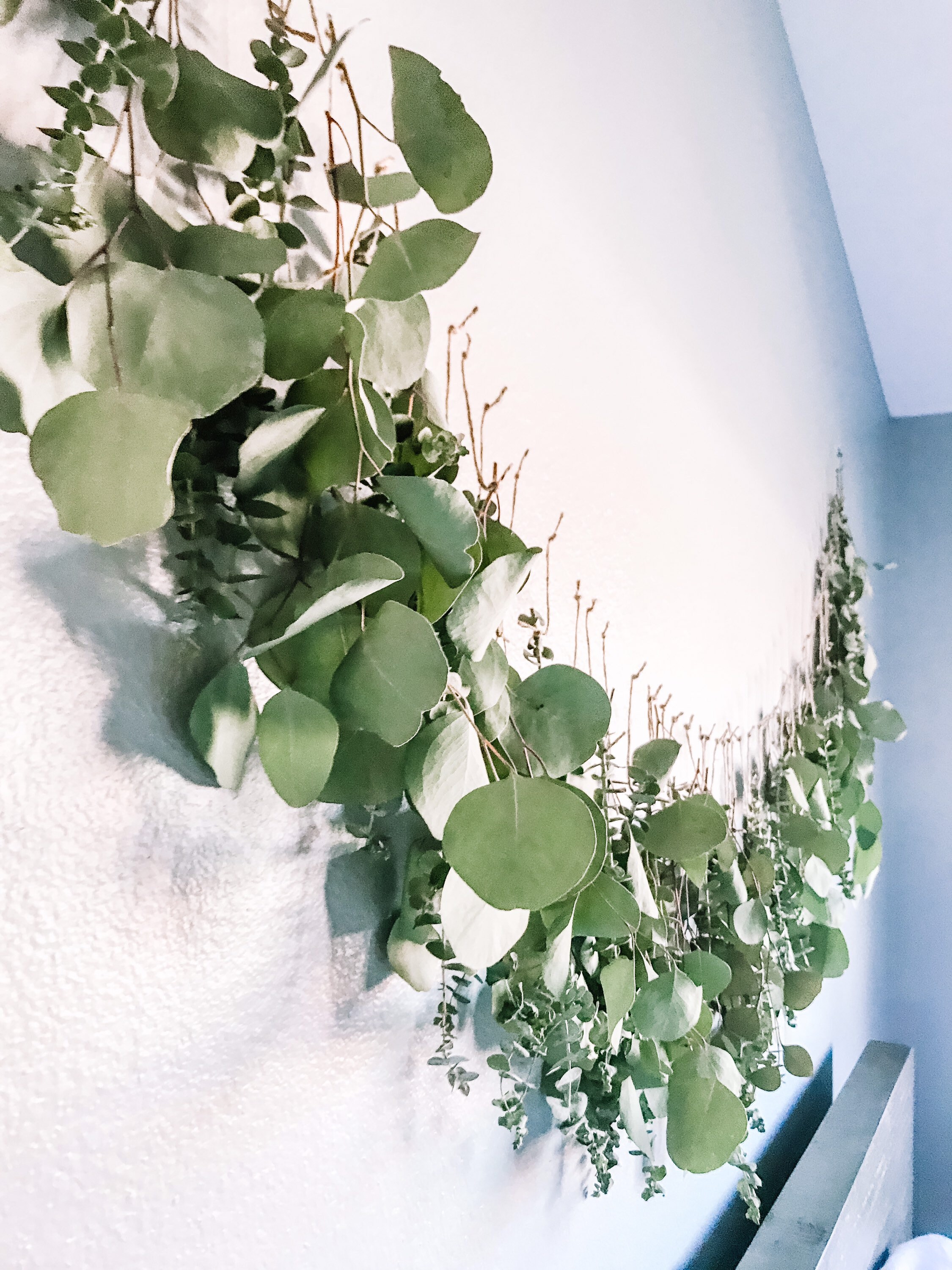 Eucalyptus Wall Hanging Eucalyptus Eucalyptus Hanging Boho Etsy