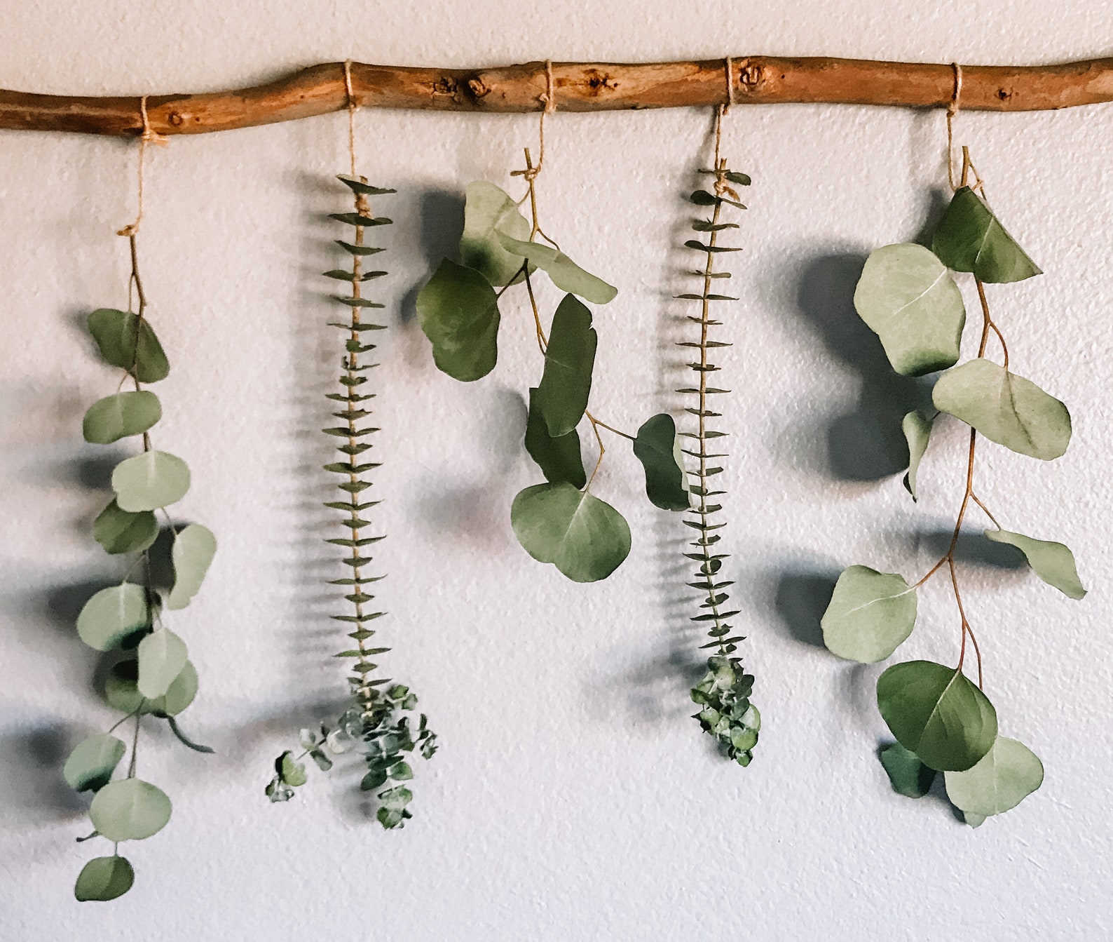 Eucalyptus Wall Hanging Eucalyptus Eucalyptus Hanging Boho Etsy