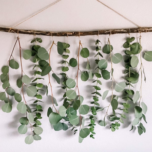 Eucalyptus Wall Hanging, Eucalyptus, Eucalyptus Hanging, Boho Wall Hanging, Boho, Eucalyptus Backdrop, Real Eucalyptus, Natural Eucalyptus