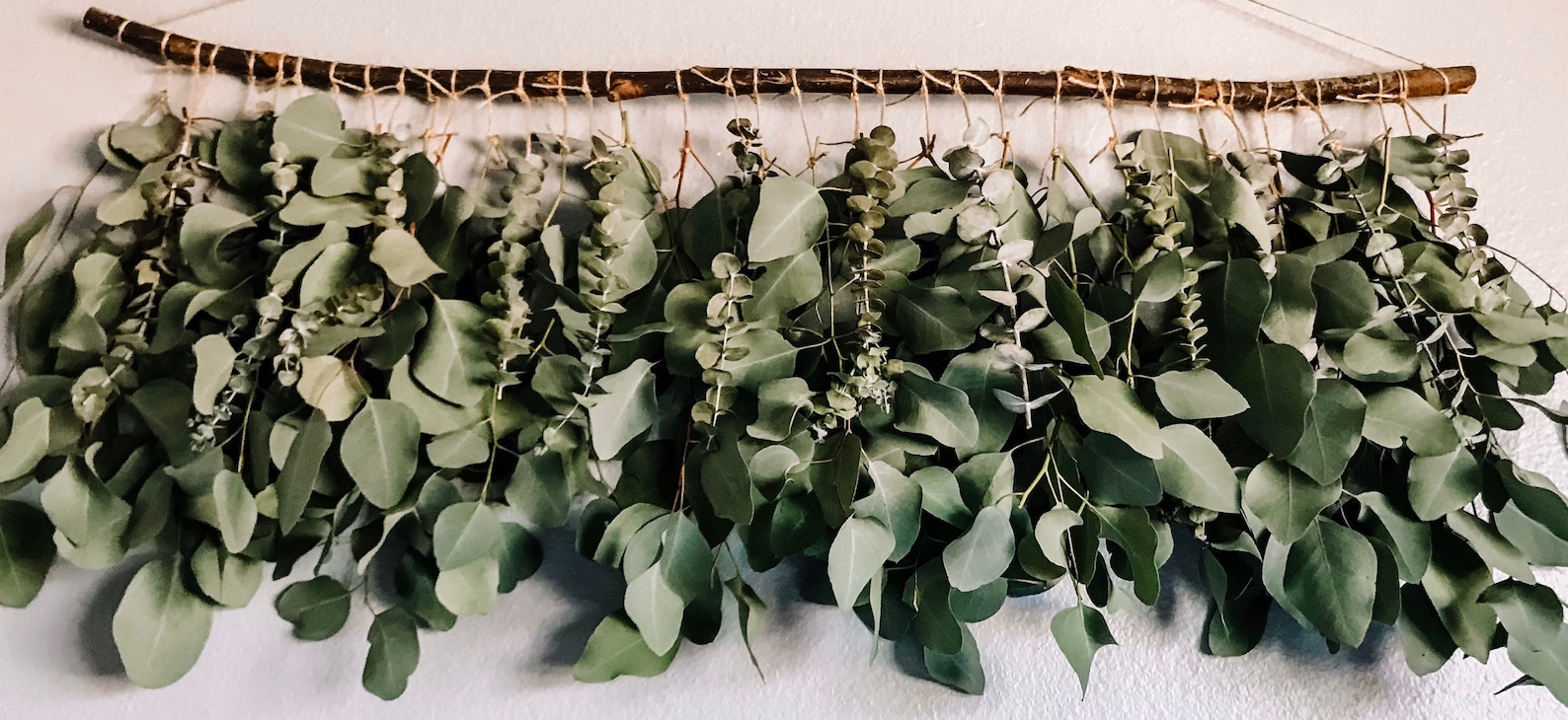 Eucalyptus Wall Hanging Eucalyptus Eucalyptus Hanging Boho Etsy