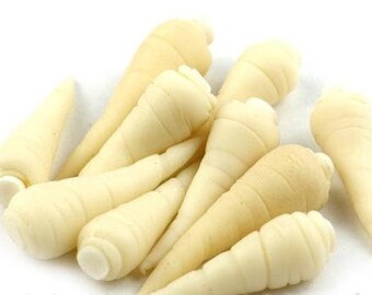 Casa de muñecas Miniatura Hecha a mano Parsnip Inglesa x10