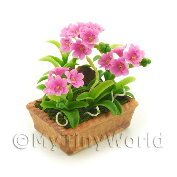 Dolls House Miniature Handmade Orchids