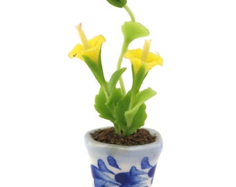 Pode incluir: Uma planta em miniatura em vaso com flores amarelas e folhas verdes em um vaso de cerâmica azul e branco.