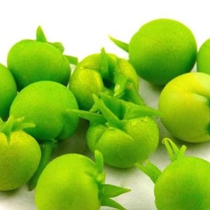 Maison de poupée Miniature Faite à la main Finement Détaillée Tomate Verte x10