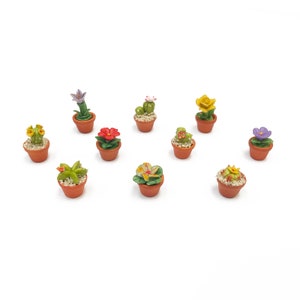 Puede incluir: Diez plantas en maceta en miniatura con varias flores y vegetación. Las plantas están en macetas de terracota y están dispuestas sobre una superficie blanca.