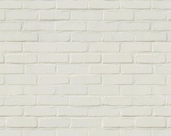 May include: A white brick wall with a smooth, painted surface. The bricks are arranged in a traditional running bond pattern.