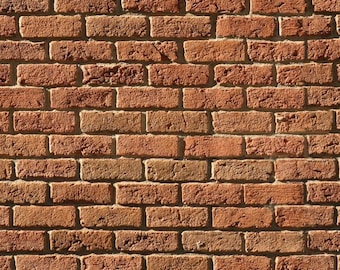 May include: A brick wall with a red-orange color. The bricks are arranged in a staggered pattern, creating a classic brick wall look.