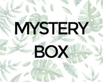 Dolls House Mystery Box