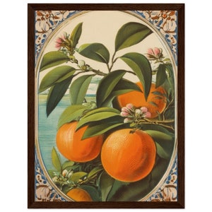 Vintage Florida Postcard Oranges Decorative Wall Art - Premium Matte Paper Wooden Framed Poster