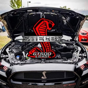 Shelby GT500/GT350 sign/hood prop, custom chasis number (contact for extra colors)