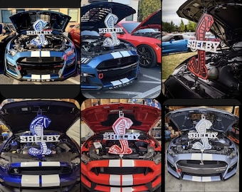24x24 Shelby gt500 sign steel  red/black metallic (Detachable prop)