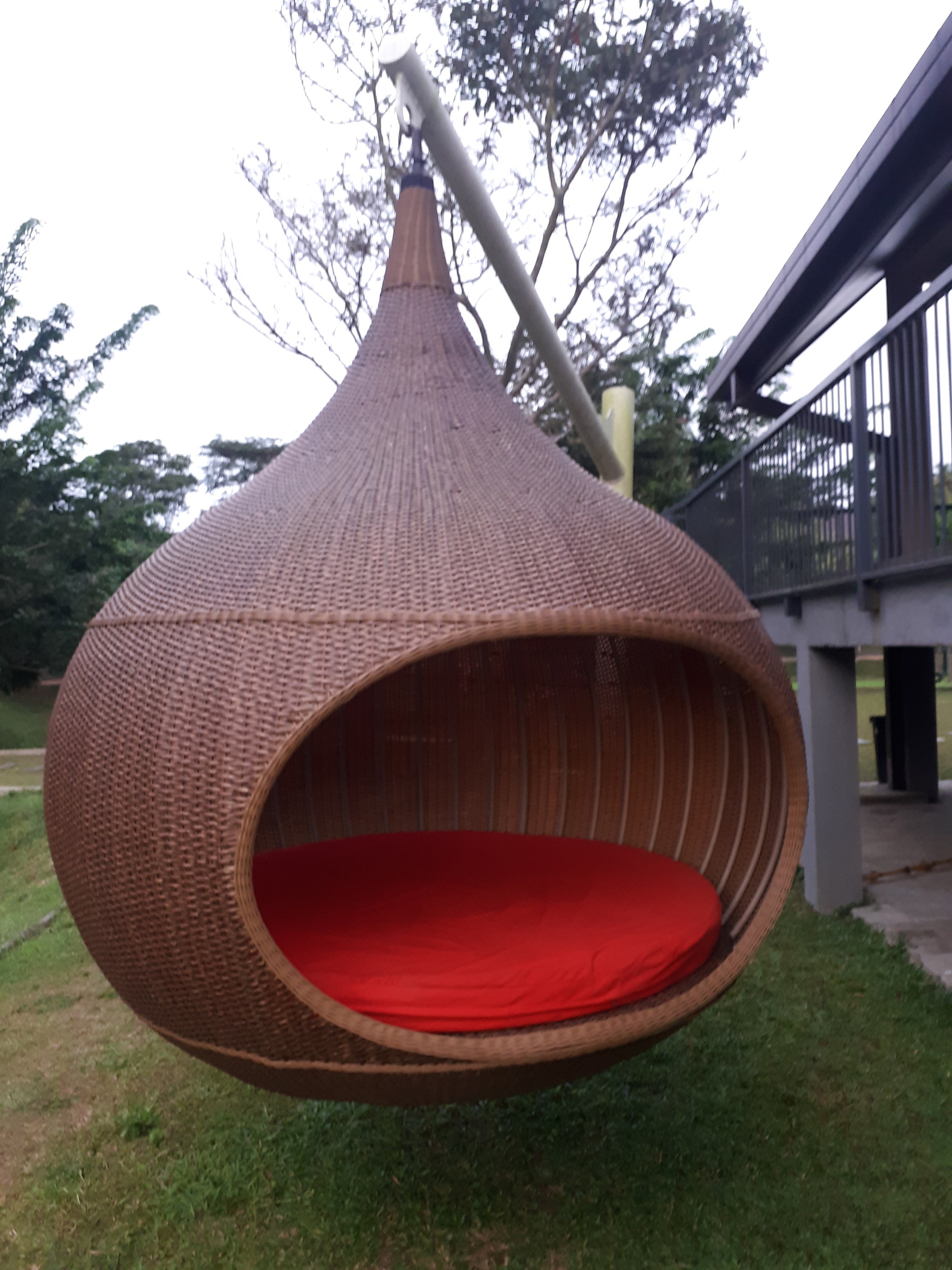 tree hanging egg chair
