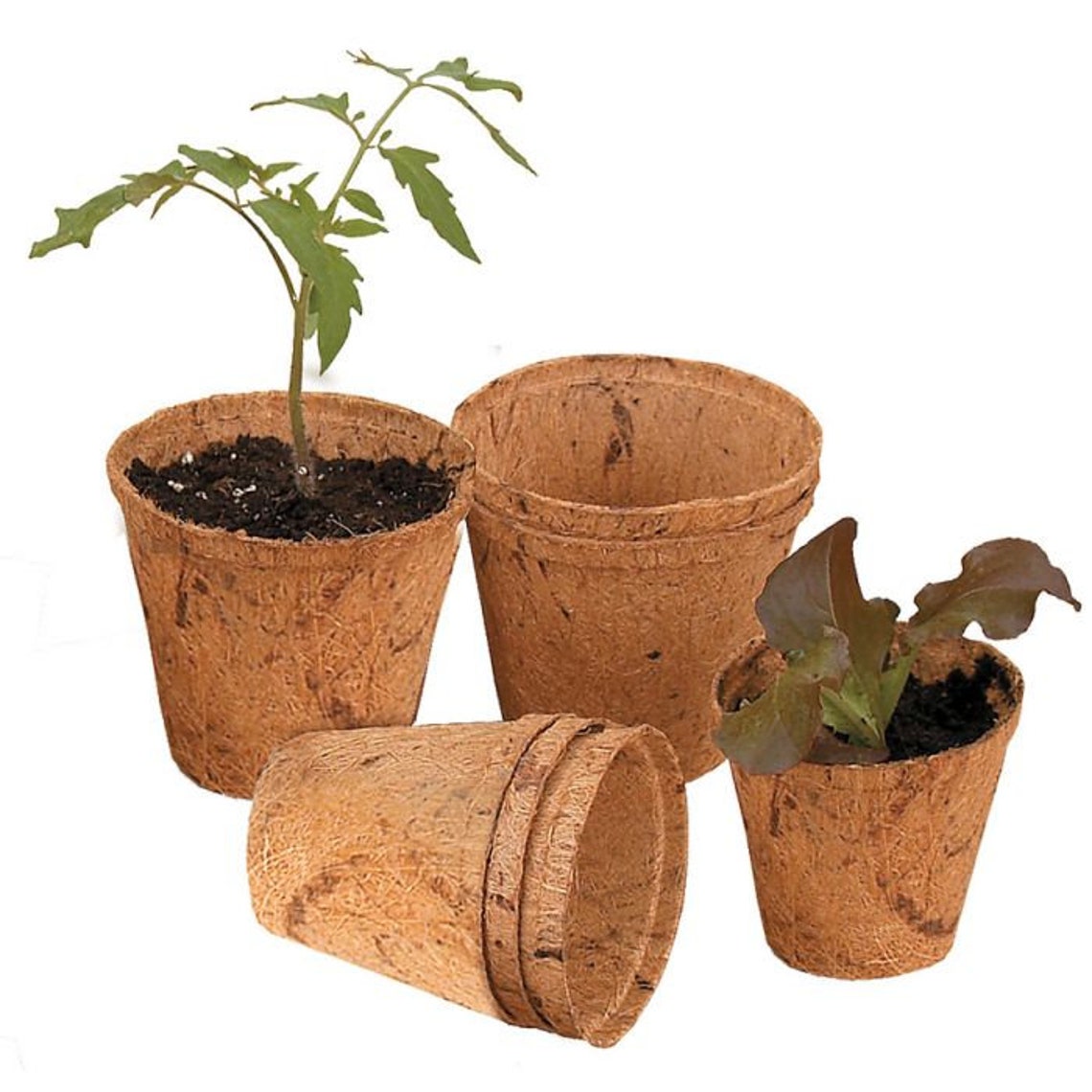 Coconut fiber pots // Eco friendly flower pots Etsy