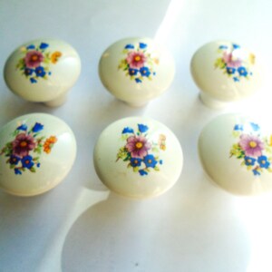 Pu&ograve; includere: Sei pomelli per mobili in ceramica color crema. Ogni pomello presenta un motivo floreale con fiori viola, rosa, blu e arancioni. I pomelli sono rotondi con una base leggermente appiattita.