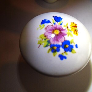 Pu&ograve; includere: Pomello rotondo in ceramica bianca con motivo floreale. I fiori sono viola, blu e gialli, con foglie verdi. Diametro di circa 4 cm. Per armadio o cassetto.