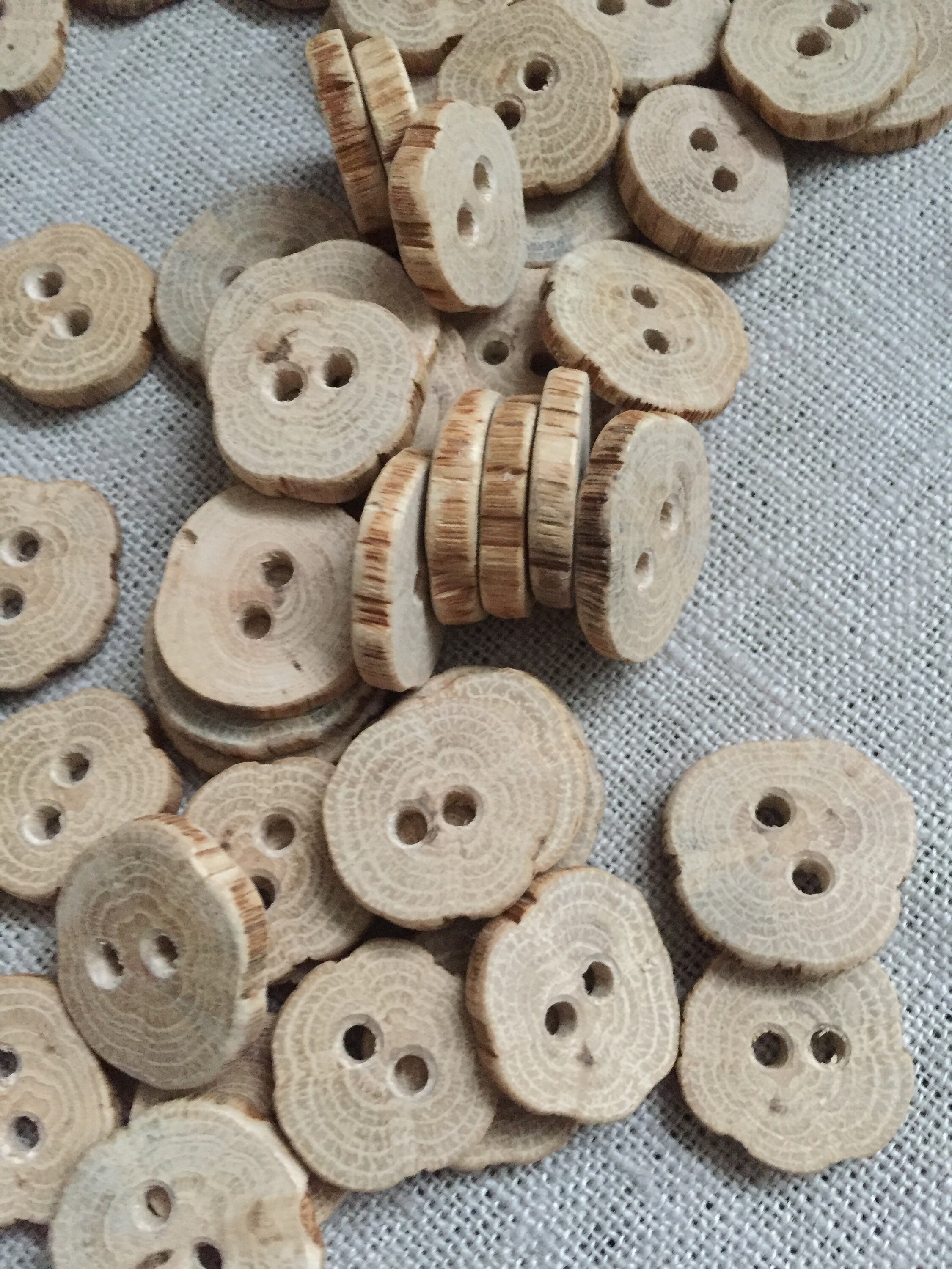 6 pcs. Oak wood button natural young oak branch about 2 cm. Etsy