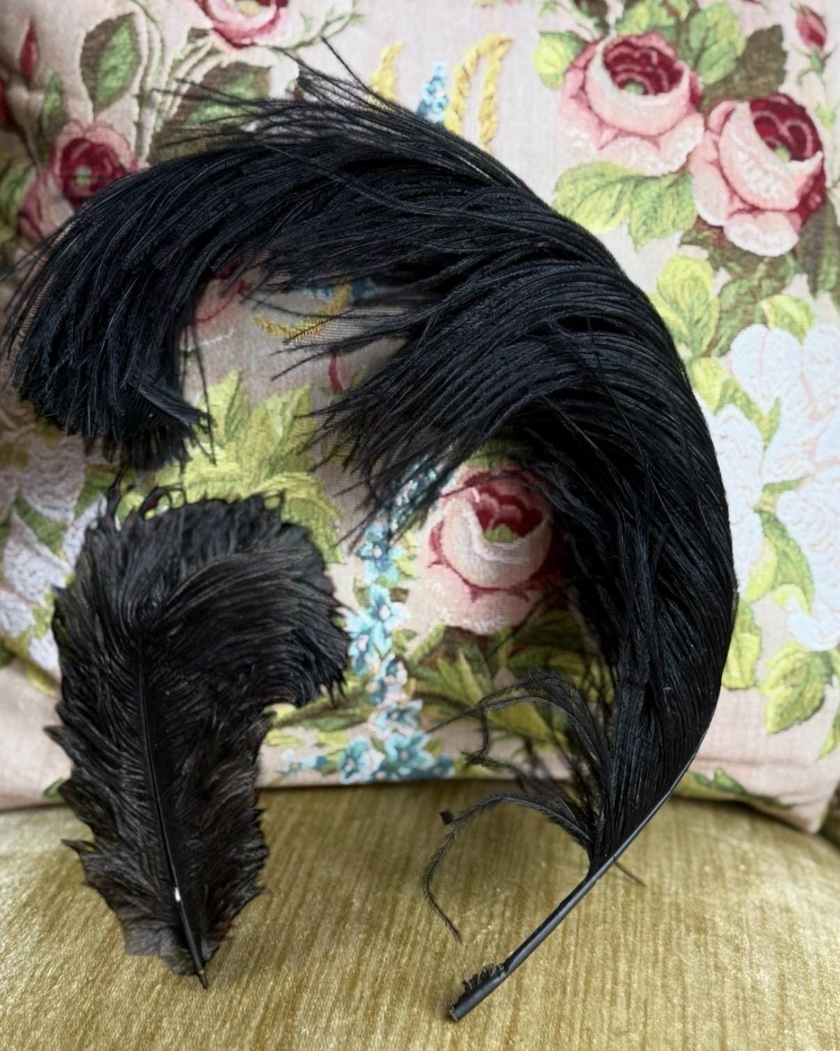 Edwardian Millinery Feathers - Etsy