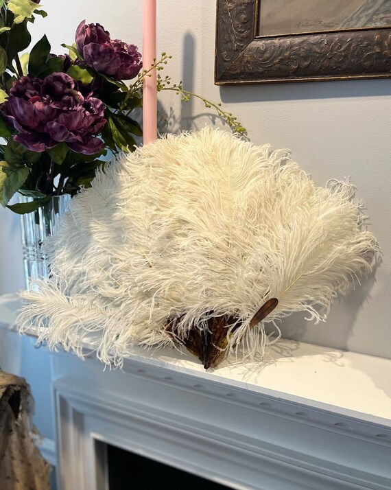 Ostrich feather hand fan - Gem