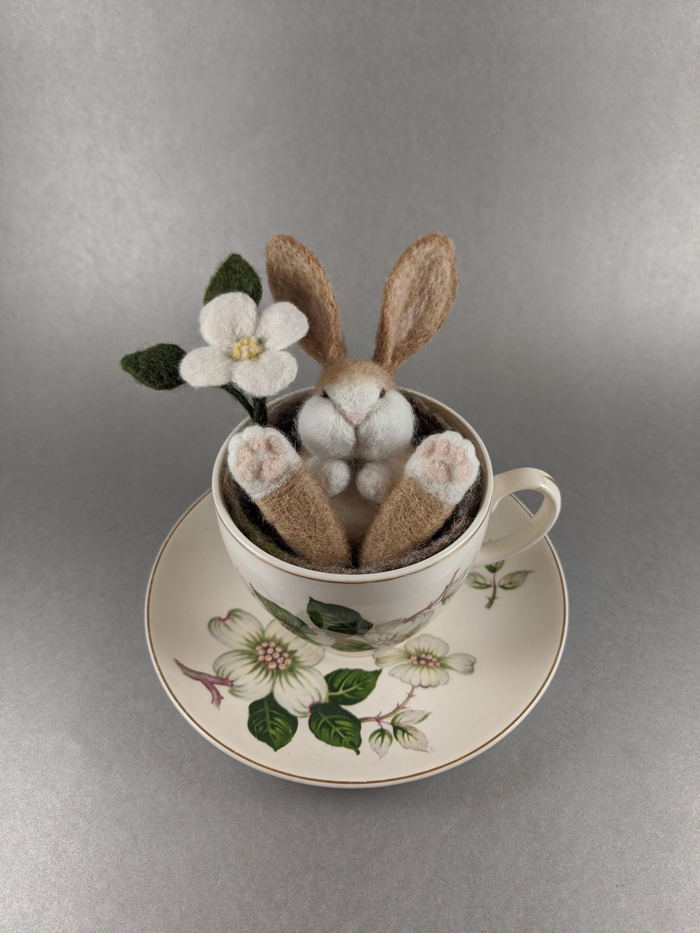 Teacup Bunnies for sale Only 3 left at 75