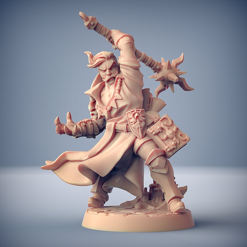 dnd sorcerer miniature
