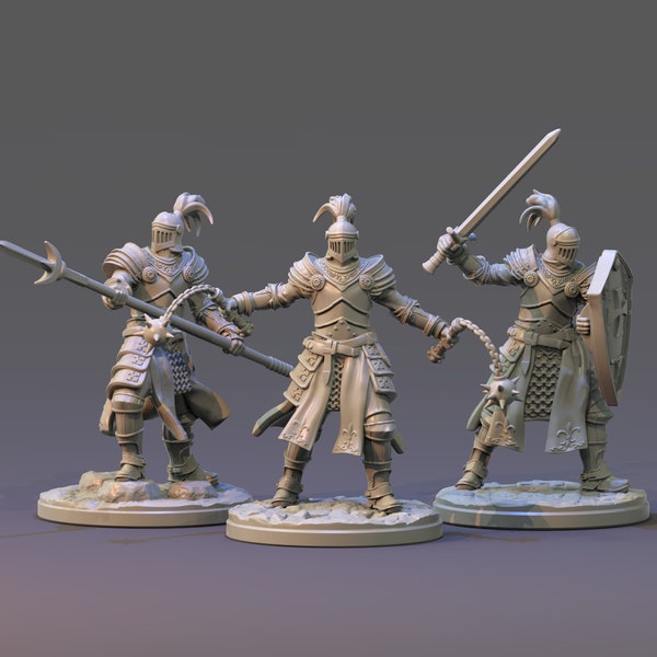 Knights | DnD Miniature |King Arthur | Miniatures for Tabletop games like D&D or War Games|Clay Cyanide| Camelot |Knights of the Round Table