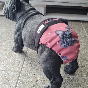 Läufigkeitshöschen Schutzhose für Französische Bulldoggen Bild 3