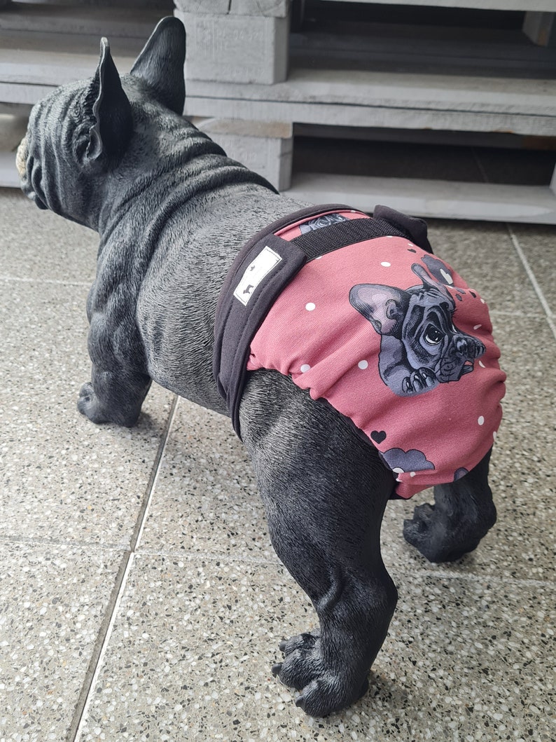 Läufigkeitshöschen Schutzhose für Französische Bulldoggen Bild 3