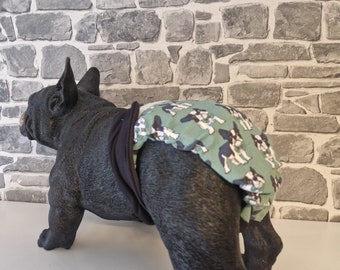 Heat protection pants for French bulldogs