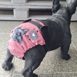 Läufigkeitshöschen Schutzhose für Französische Bulldoggen Bild 1