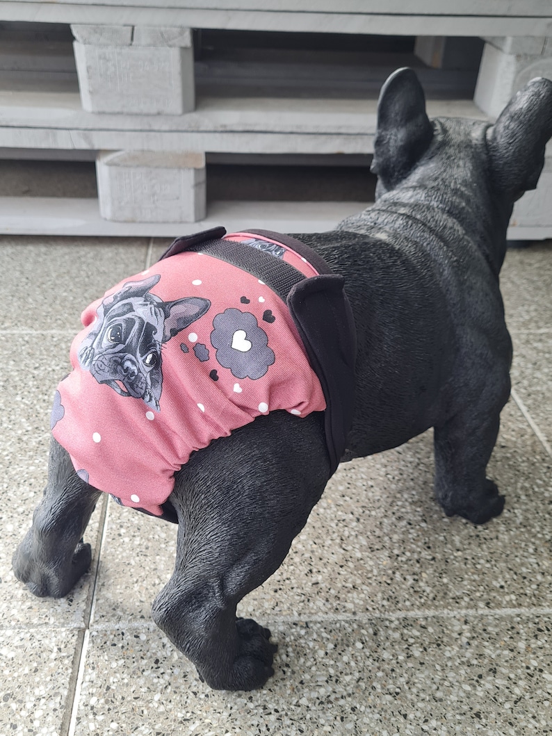 Läufigkeitshöschen Schutzhose für Französische Bulldoggen Bild 1