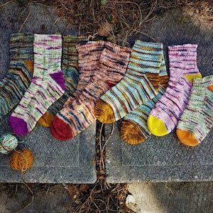 Wild Garden Sock Collection Toe Up Construction, Sock Knitting Pattern