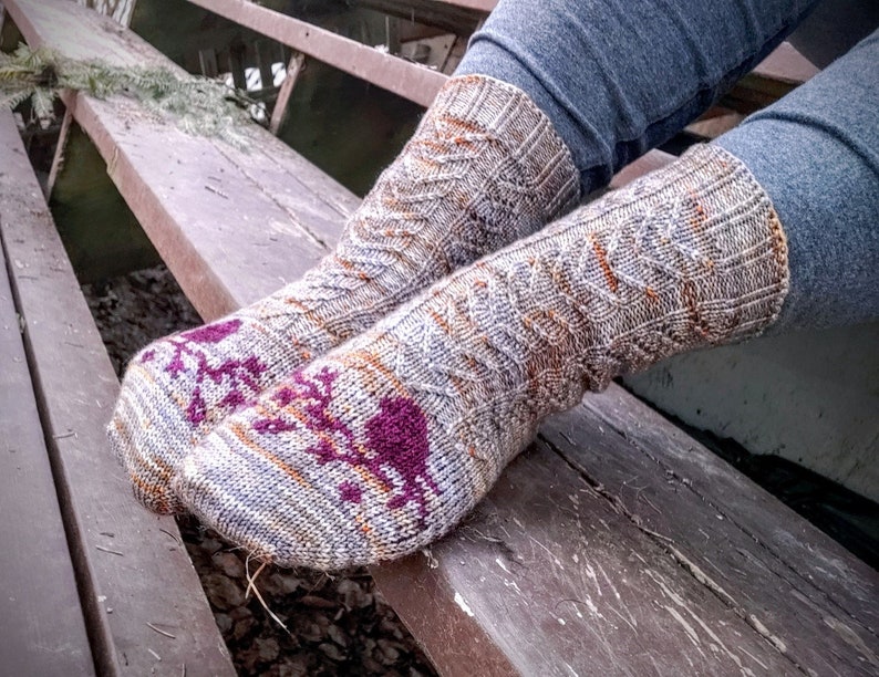 Pine Siskin Sock Pattern, knitting pattern, colourwork, lace sock knitting pattern image 3