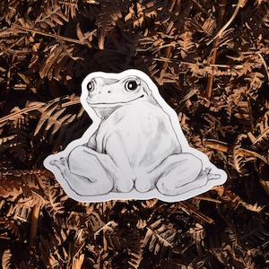 Sexy Booty Frog Vinyl Sticker - Etsy