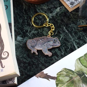 May include: A wooden keychain featuring a detailed illustration of a grey toad with black spots. The keychain is attached to a gold-coloured metal ring and chain.