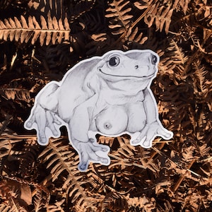 Sexy Frog Vinyl Sticker