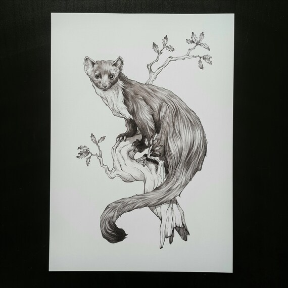 A4 Pine Marten Print | Etsy